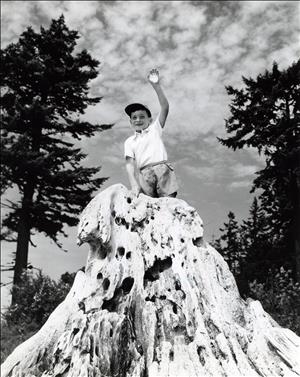 A young boy stands on a large tree stump waving and smiling with trees and clouds in the background